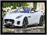 Biały, Jaguar F-Type