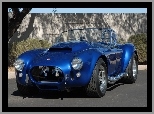 Shelby Cobra, 1965