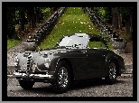 1949-1952, Zabytkowy, Alfa Romeo 6C 2500 SS Villa dEste