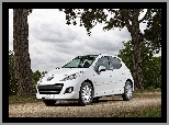 Samochód, Peugeot, 207