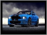 Ford Shelby, GT500